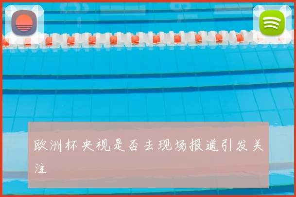 欧洲杯央视是否去现场报道引发关注