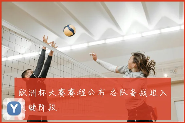 欧洲杯大赛赛程公布 各队备战进入关键阶段