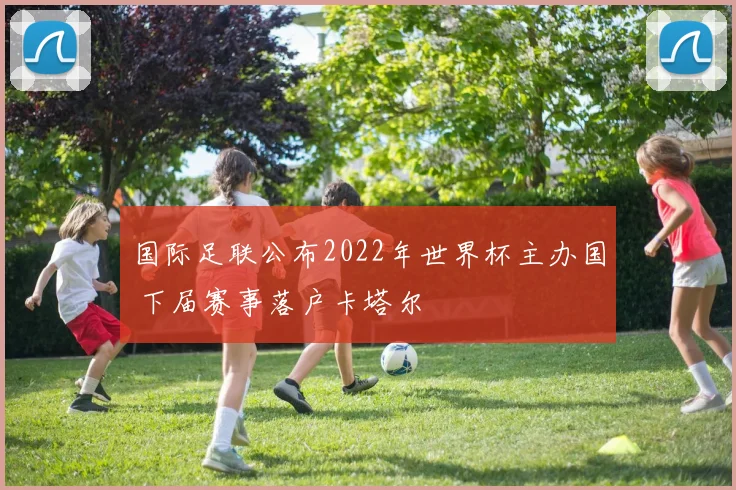 国际足联公布2022年世界杯主办国 下届赛事落户卡塔尔